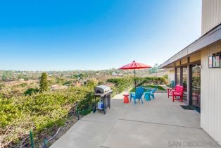 Single Family Residence, 1359 Knoll Park ln, Fallbrook, CA 92028 - 53