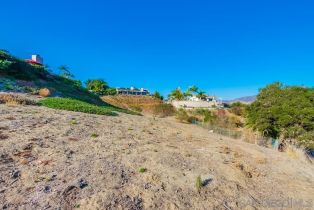 Single Family Residence, 1359 Knoll Park ln, Fallbrook, CA 92028 - 69