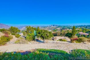 Single Family Residence, 1359 Knoll Park ln, Fallbrook, CA 92028 - 72