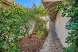 , 131 Saltillo ct, Solana Beach, CA 92075 - 26