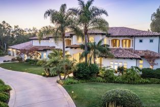 Single Family Residence, 16301 Avenida De Los Olivos, Rancho Santa Fe, CA 92067 - 37