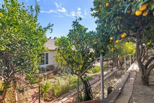 Single Family Residence, 13840 Olive Grove pl, Poway, CA 92064 - 25