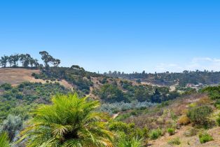 Single Family Residence, 1369 Ranch rd, Encinitas, CA 92024 - 22