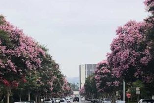 Condominium, 277 Spalding dr, Beverly Hills, CA 90212 - 4