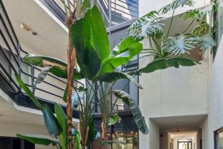 Condominium, 1201 Larrabee st, West Hollywood , CA 90069 - 6