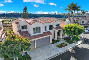 Single Family Residence, 14725 Caminito Porta Delgada, Del Mar, CA 92014 - 11