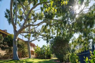 Single Family Residence, 2665 Idle Hour ln, La Jolla, CA 92037 - 44