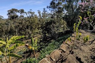 Single Family Residence, 4332 Stanford st, Carlsbad, CA 92010 - 23