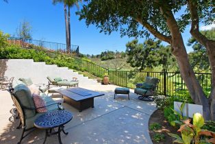 , 3040 CAMINITO TERCER VERDE, Del Mar, CA 92014 - 21