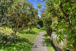 Single Family Residence, 1141 Luneta dr, Del Mar, CA 92014 - 57