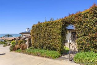 Single Family Residence, 1141 Luneta dr, Del Mar, CA 92014 - 59