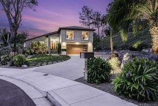 Single Family Residence, 12902 Biscayne cv, Del Mar, CA 92014 - 27