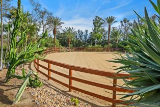 Single Family Residence, 16337 Los Arboles, Rancho Santa Fe, CA 92067 - 10