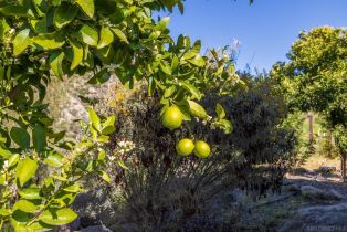 Single Family Residence, 35140 Stirrup rd, Temecula, CA 92592 - 52