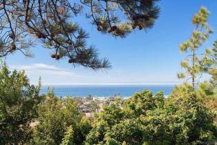 Single Family Residence, 2165 Balboa ave, Del Mar, CA 92014 - 50