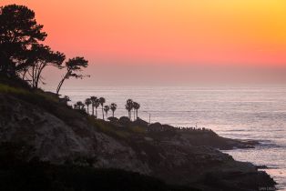 Single Family Residence, 1624 Torrey Pines rd, La Jolla, CA 92037 - 45