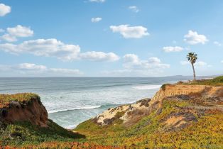 Condominium, 1846 Parliament rd, Encinitas, CA 92024 - 47