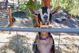 Single Family Residence, 12052 Sky View dr, Valley Center, CA 92082 - 29