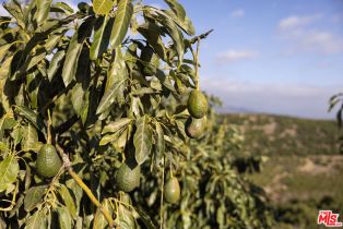 , 1500 Camino Meleno, Santa Barbara, CA 93111 - 23