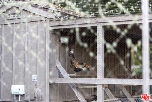 Single Family Residence, 4295 Marina dr, Santa Barbara, CA 93110 - 54