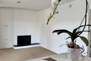 , 8331 Manchester ave, Playa Del Rey , CA 90293 - 8