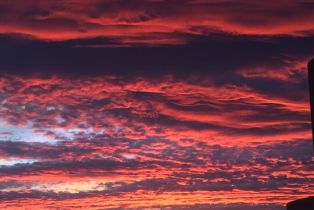 , 0 Desert Calico, Mountain Center, CA 92561 - 32