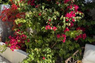 Condominium, 1927 18th st, Santa Monica, CA 90404 - 10