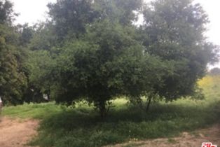 , 0 Aster Trail Rd., Calabasas, CA 91302 - 2