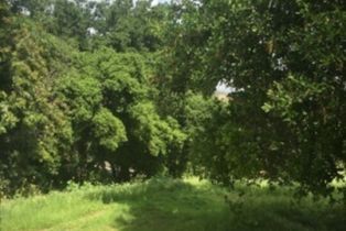 , 0 Aster Trail Rd., Calabasas, CA 91302 - 4