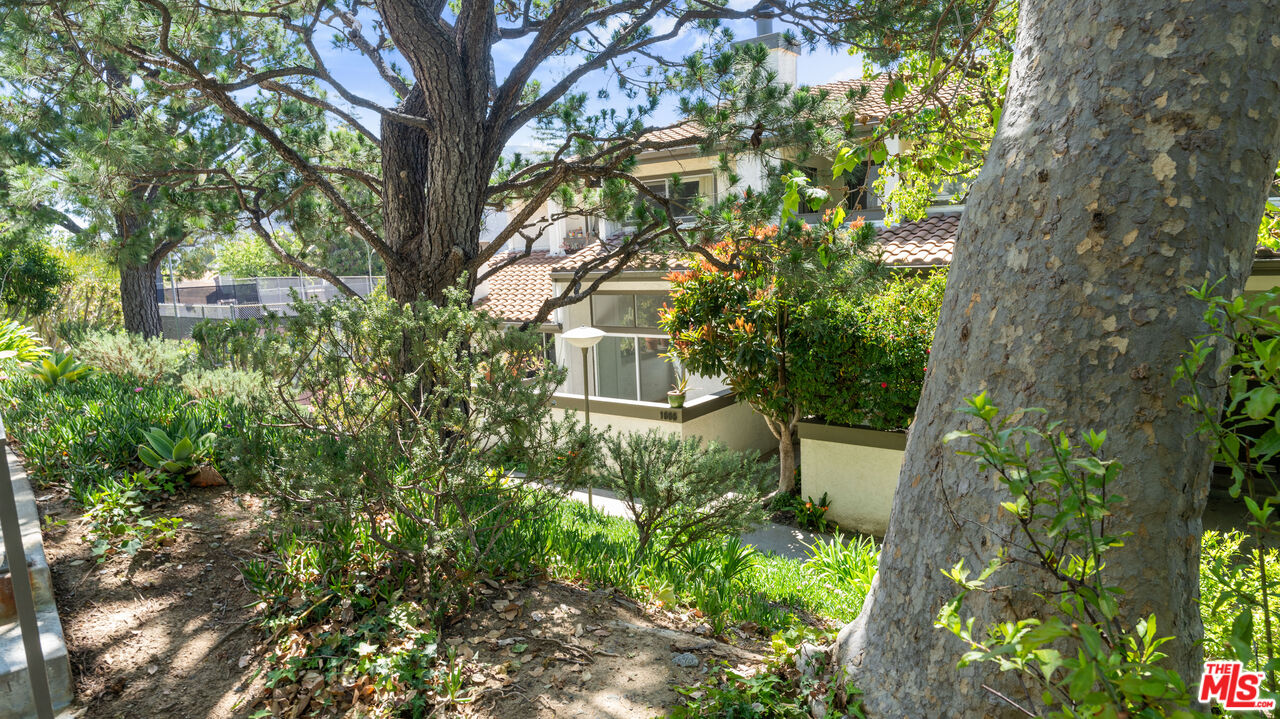 , 1666 Palisades dr, Pacific Palisades, CA 90272 - 1
