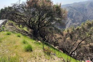 , 1785 Alta Mura Rd rd, Pacific Palisades, CA 90272 - 4