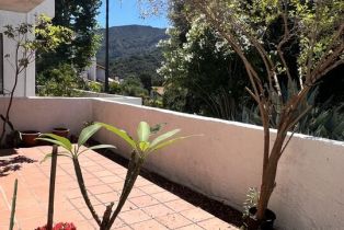 Townhouse, 1629 Michael ln, Pacific Palisades, CA 90272 - 24