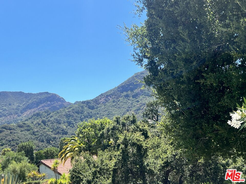 Townhouse, 1629 Michael ln, Pacific Palisades, CA 90272 - 1