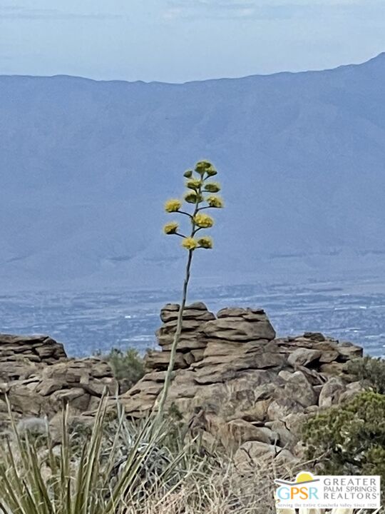 , 0 Star Shadow, Mountain Center, CA 92561 - 1