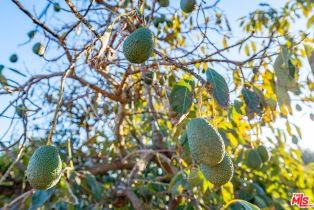 Single Family Residence, 2212 Stacy ln, Camarillo, CA 93012 - 25