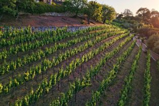 Single Family Residence, 30 Portuguese Bend rd, Rolling Hills, CA 90274 - 14