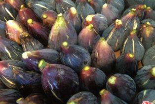 Single Family Residence, 30 Portuguese Bend rd, Rolling Hills, CA 90274 - 73