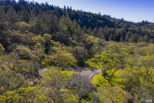 Residential Acreage,  Desnudos way, Sonoma, CA 95476 - 10