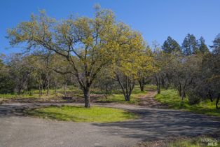 Residential Acreage,  Desnudos way, Sonoma, CA 95476 - 6