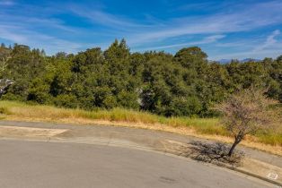 Residential Lot,  Larch drive, Petaluma, CA 94952 - 11