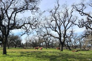 Single Family Residence,  Piner road, Santa Rosa, CA 95401 - 4