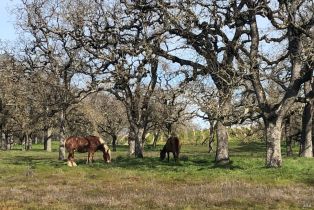 Single Family Residence,  Piner road, Santa Rosa, CA 95401 - 11