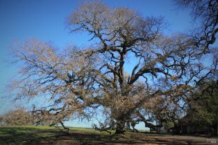 Single Family Residence,  Piner road, Santa Rosa, CA 95401 - 12