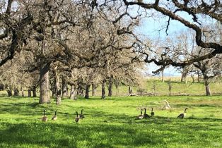 Single Family Residence,  Piner road, Santa Rosa, CA 95401 - 9