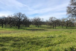 Residential Acreage,  Piner road, Santa Rosa, CA 95401 - 10