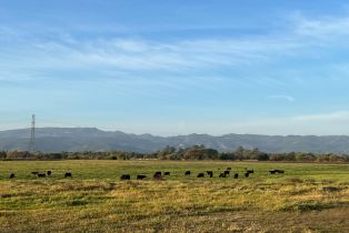 Agriculture,  Arnold drive, Sonoma, CA 95476 - 2