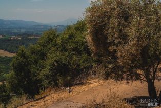 Residential Lot,  Wild Horse Valley road, Napa, CA 94558 - 13