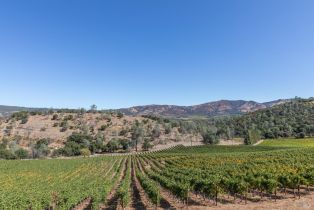 Single Family Residence,  Soda Canyon road, Napa, CA 94558 - 11