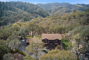 Single Family Residence,  Petrified Forest road, Calistoga, CA 94515 - 3