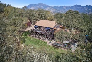 Single Family Residence,  Petrified Forest road, Calistoga, CA 94515 - 2